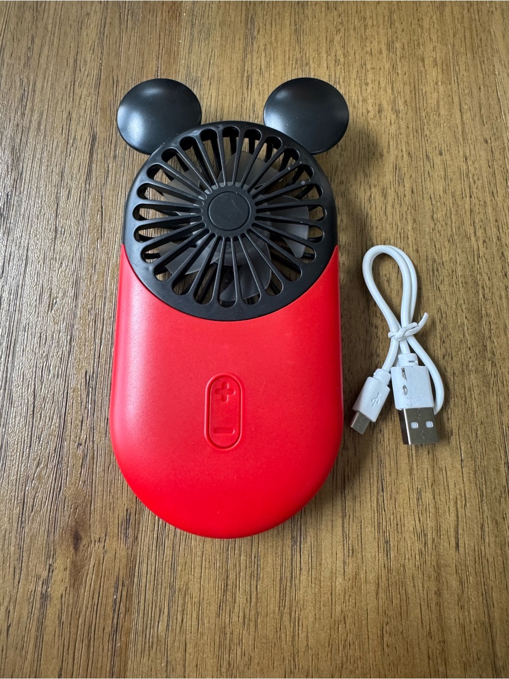 Cute Disney Fan!